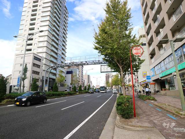 敷地北側の前面道路。３車線のバス通りです。