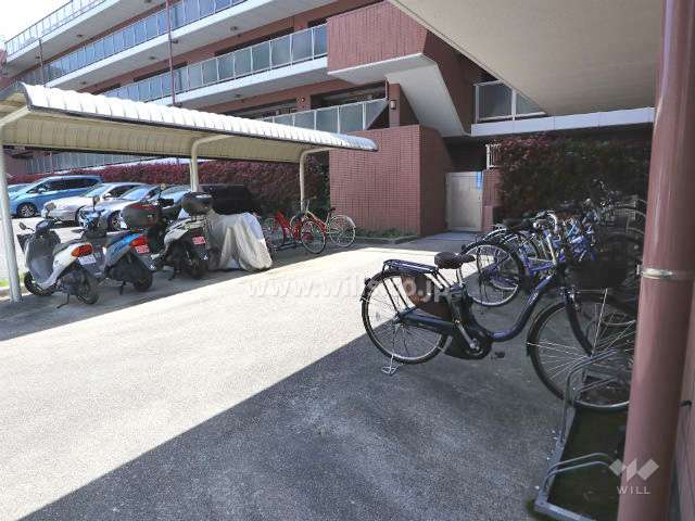 自転車置場(屋外)