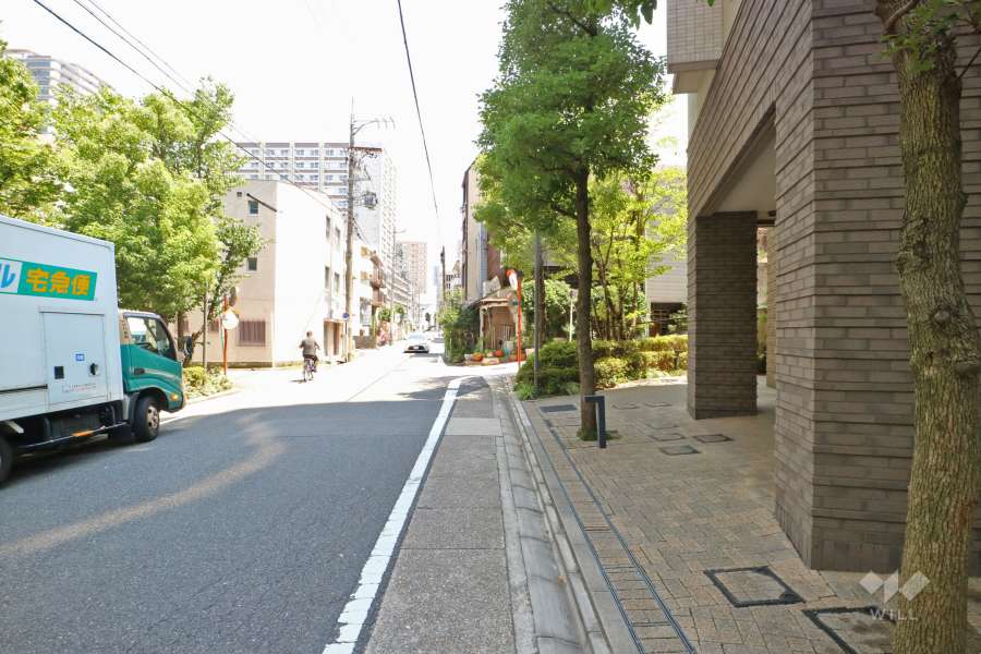 敷地北側の前面道路