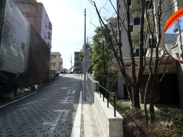 敷地東側前面道路