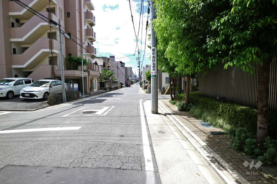 敷地南側の前面道路(東側から)