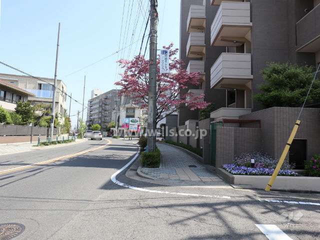 敷地北側の前面道路