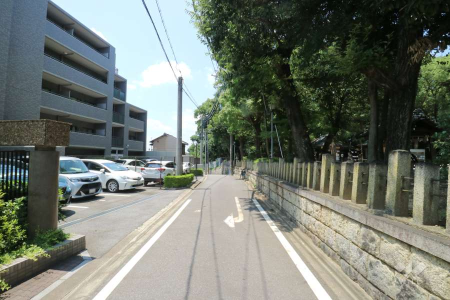敷地北側前面道路（東側から）