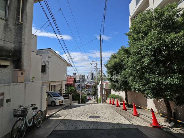 敷地の南東側前面道路（北東側から）