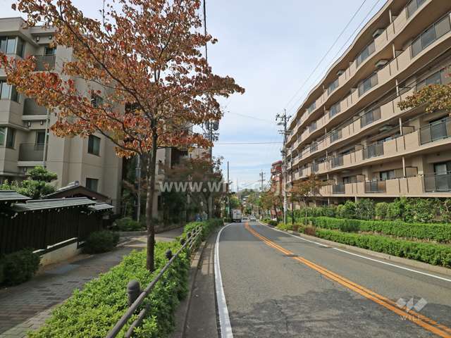 敷地の北側前面道路（東側から）