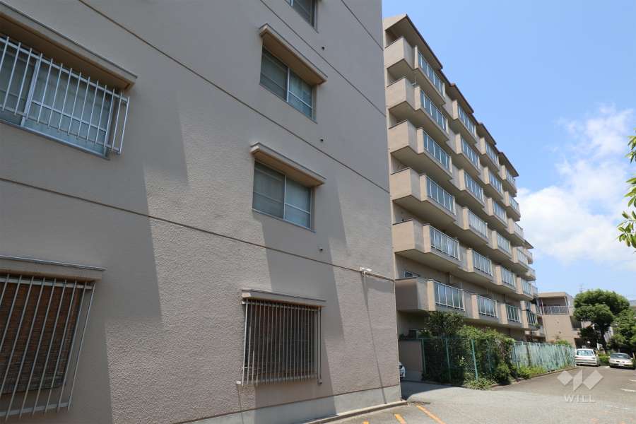 南宝塚ビューハイツの外観（南東側から）