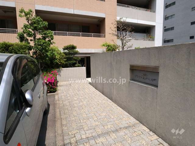 敷地入り口（南側）