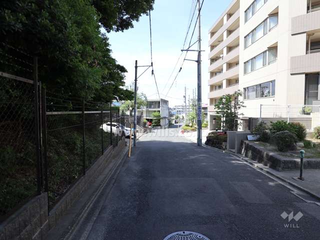 敷地西側の前面道路。