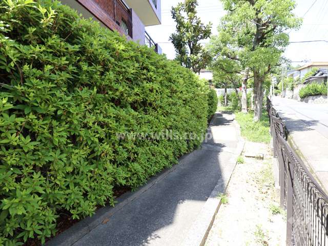 敷地内の通路