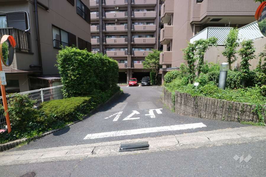 駐車場出入口（西側）