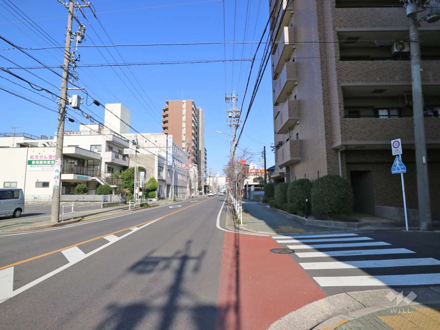 敷地西側の前面道路（南側から）