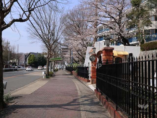 敷地南側の前面道路