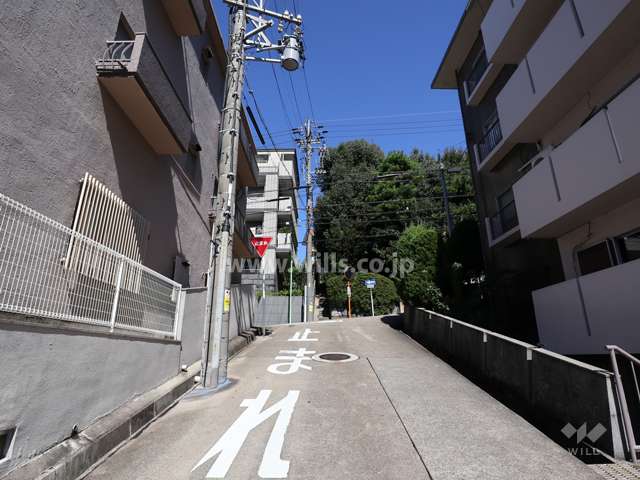 敷地東側の前面道路（南側から）