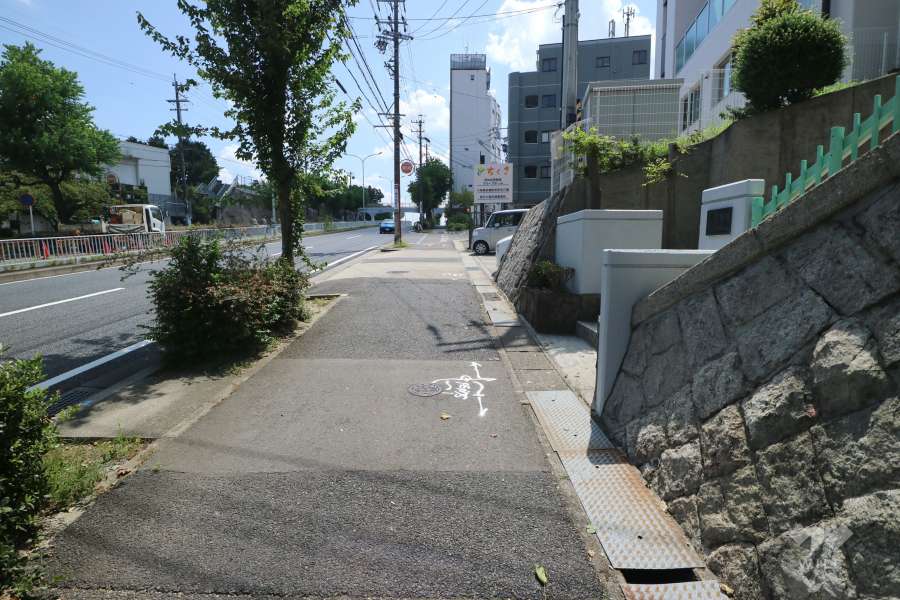 敷地の東側前面道路（北側から）