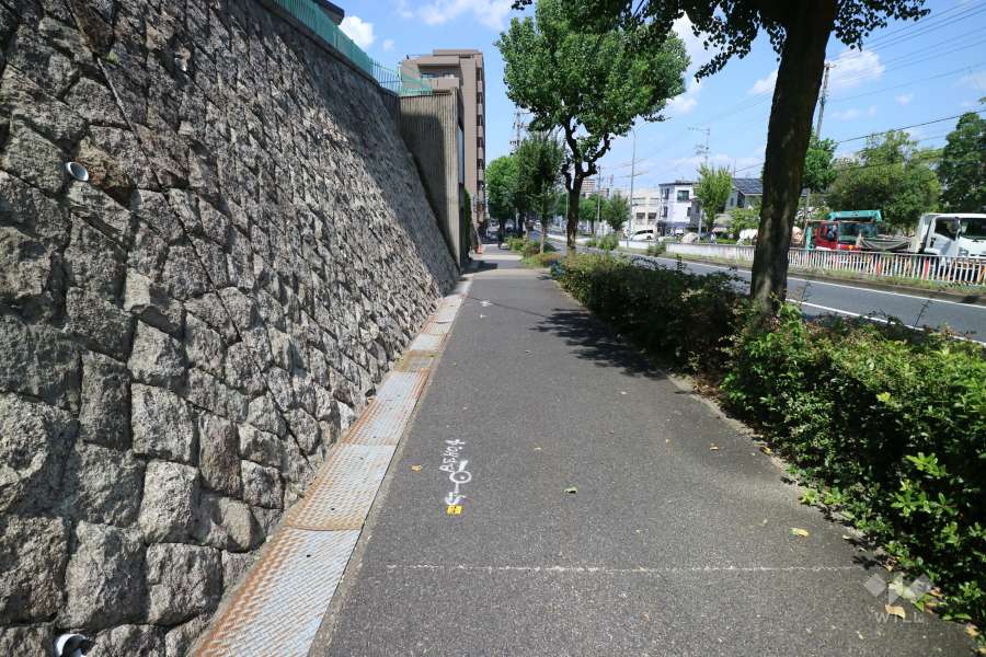 敷地の東側前面道路（南側から）