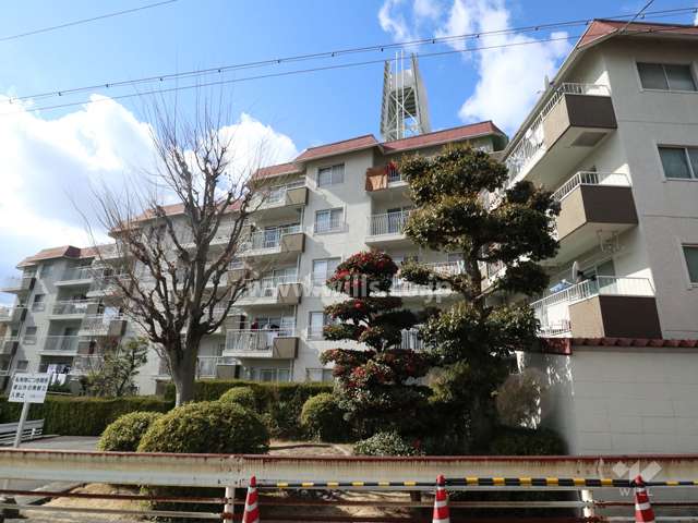 向陽ハイツの外観(北東側から)