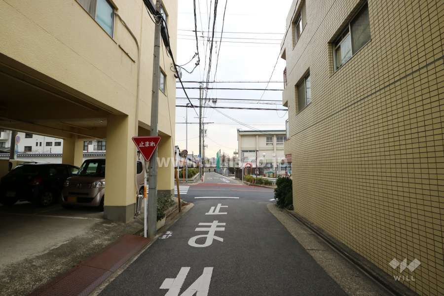 敷地東側の前面道路（北側から）