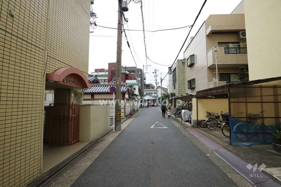 敷地東側の前面道路（南側から）