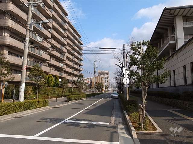 敷地南側の前面道路