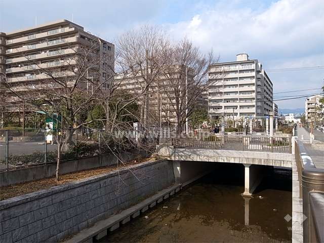 敷地東側には中央幹線景観水路が通っています。