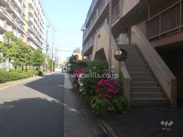 敷地北側の前面道路