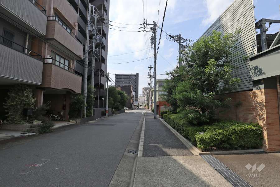 敷地南側の前面道路(東側から)