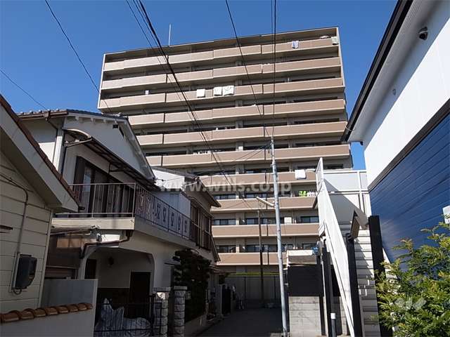 敷地の南側には一戸建てが立ち並んでいます。