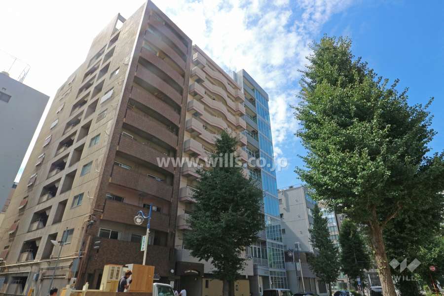 チサンマンション丸の内第6の外観（北東側から）