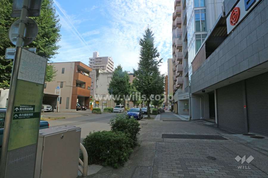 敷地北側の前面道路（西側から）