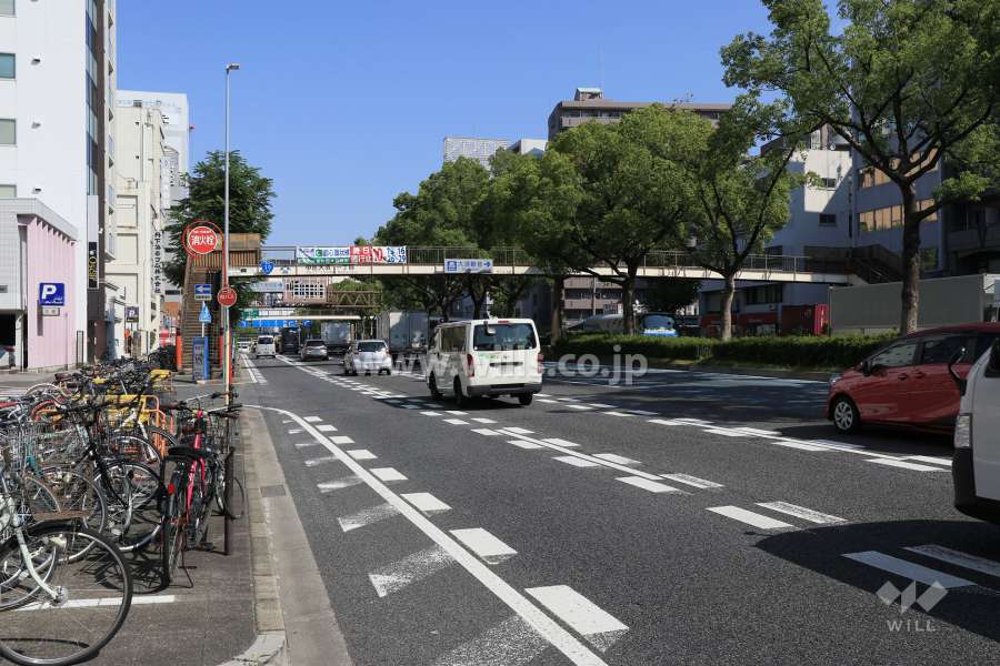 敷地東側の前面道路（南側から）