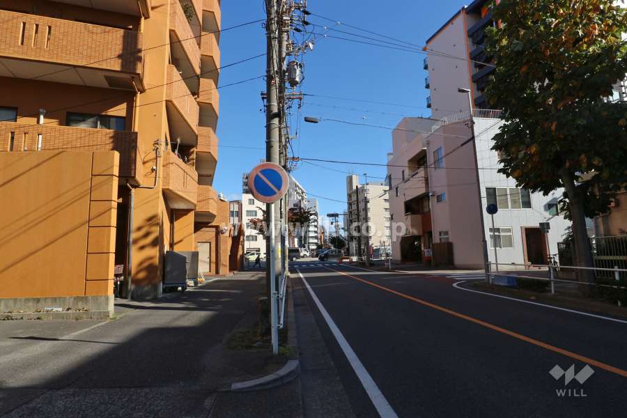敷地南西側の前面道路（南東から）
