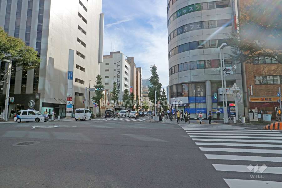 敷地東側の前面道路（北側から）