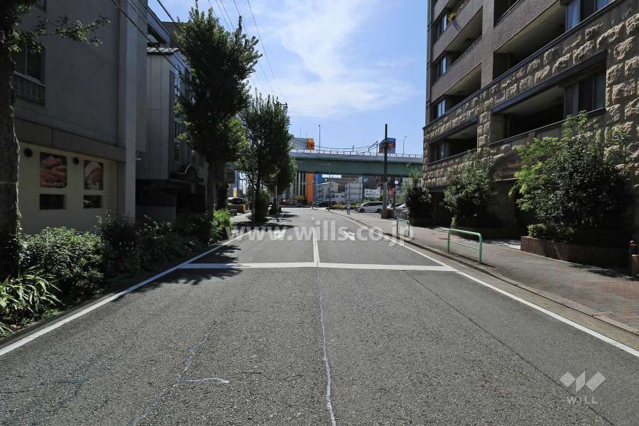 敷地東側の前面道路（北側から）