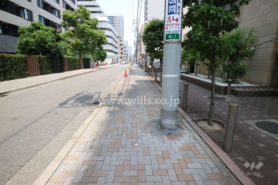 敷地の西側前面道路（南側から）