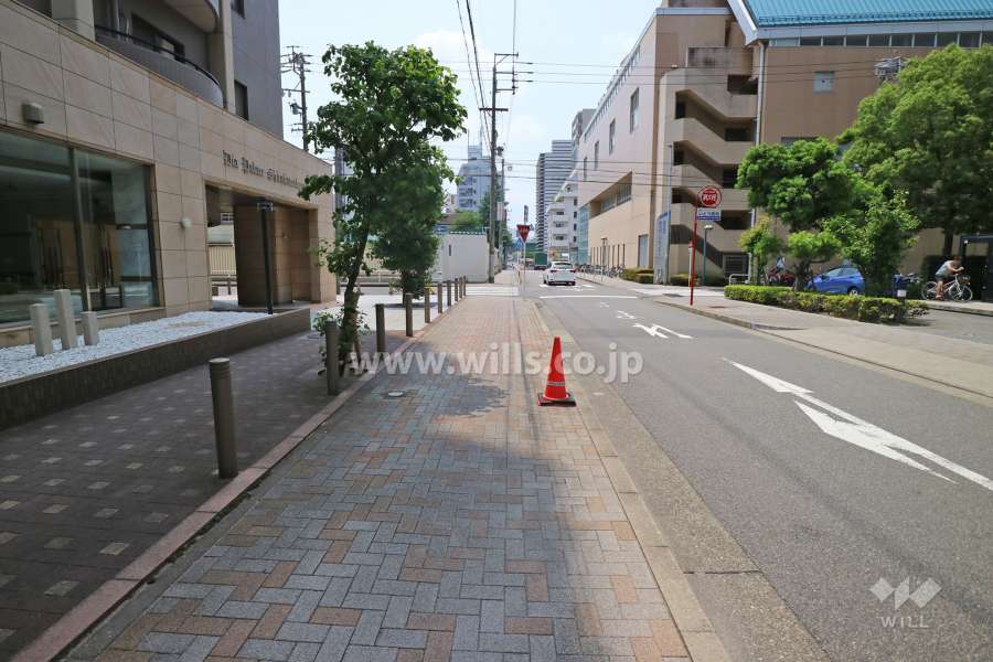 敷地の西側前面道路（北側から）