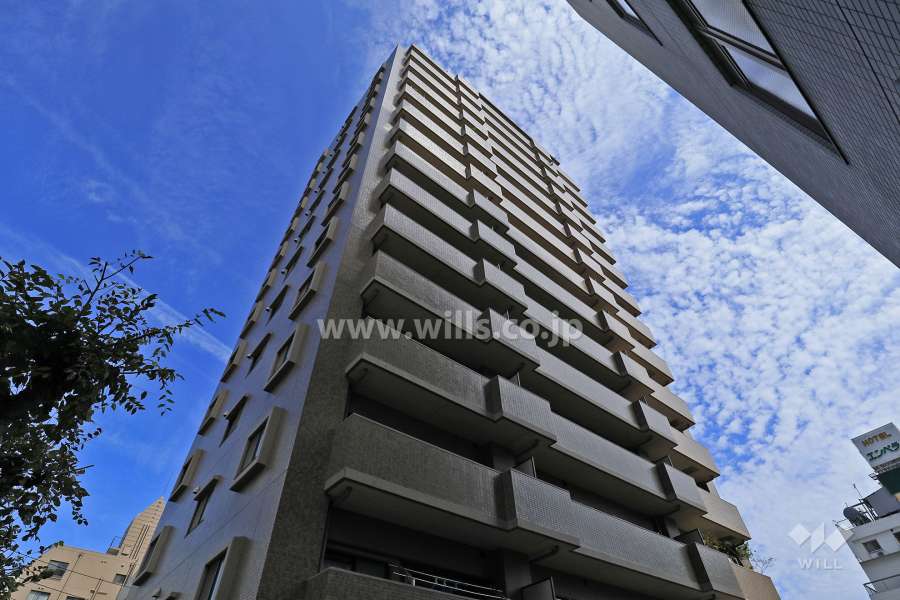 ダイアパレスステーションプラザ金山の外観（南西側から）