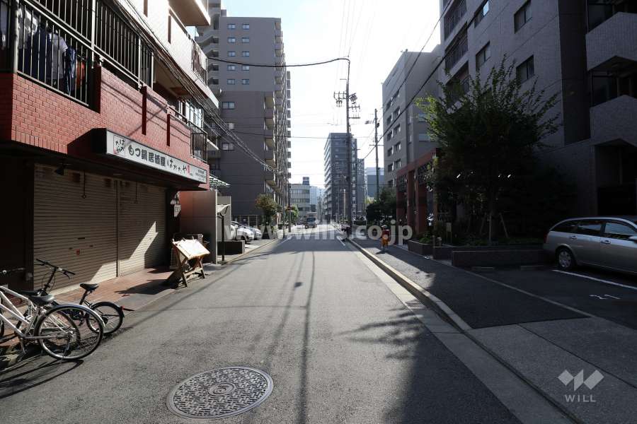 敷地東側の前面道路（北側から）