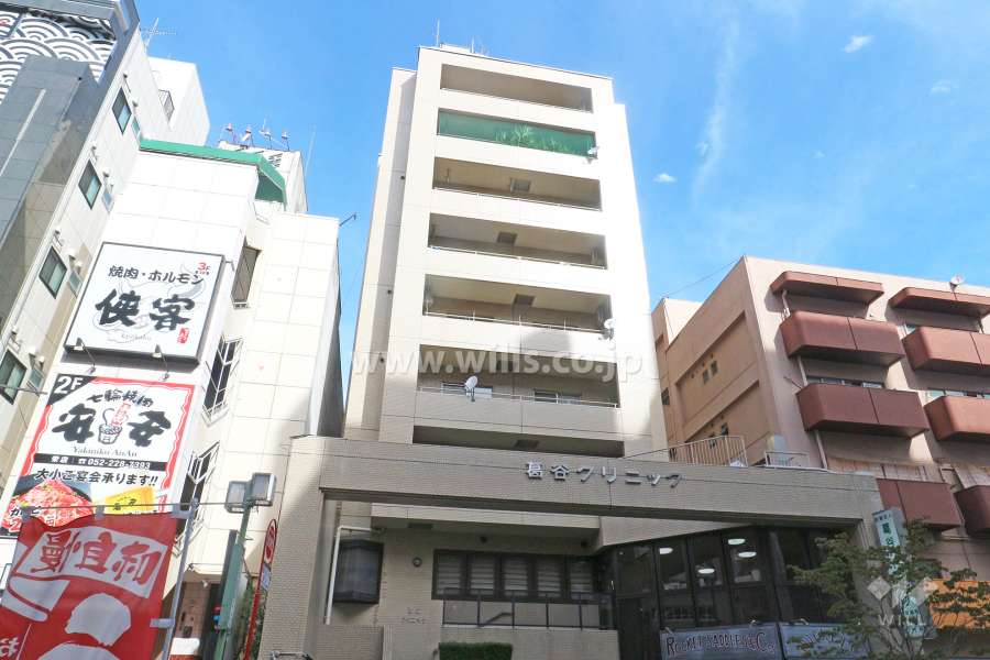 葛谷ダイアパレス栄の外観（南側から）