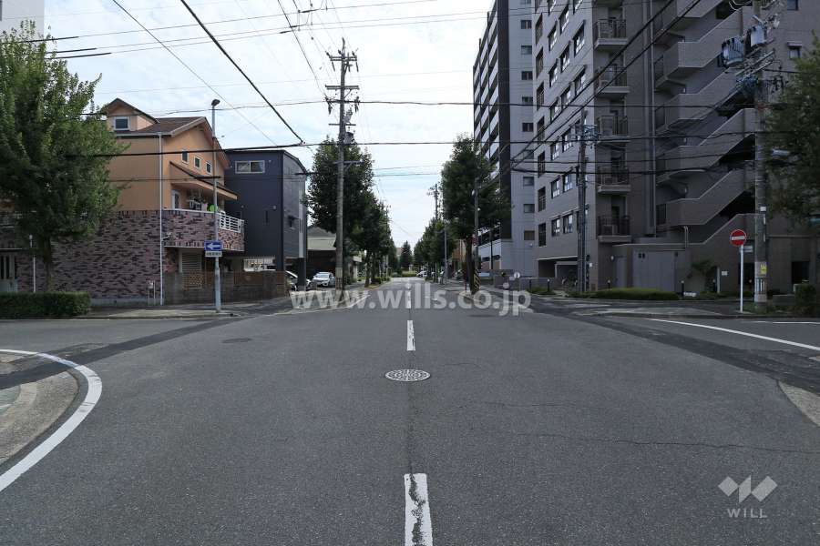敷地東側の前面道路（北側から）