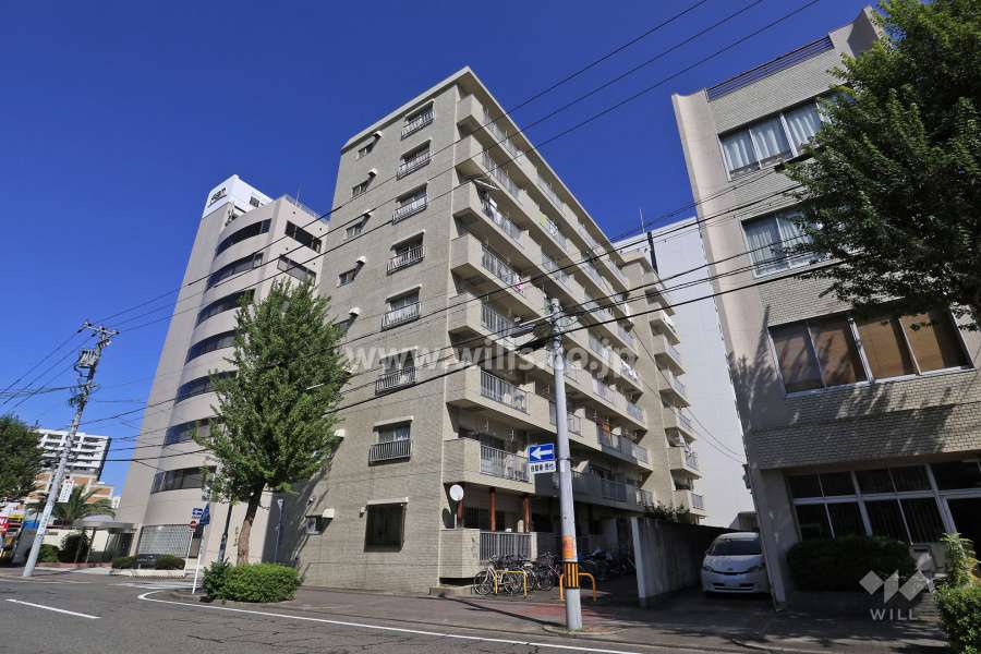 ダイアパレス大池の外観（南西側から）
