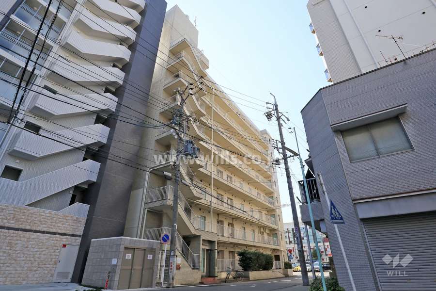 ダイアパレス大池の外観（北東側から）