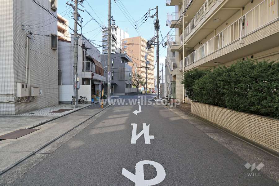 敷地北側の前面道路（西側から）