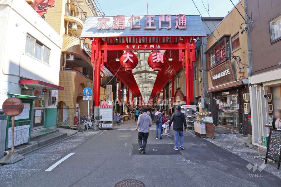 敷地南側の前面道路（西側から）