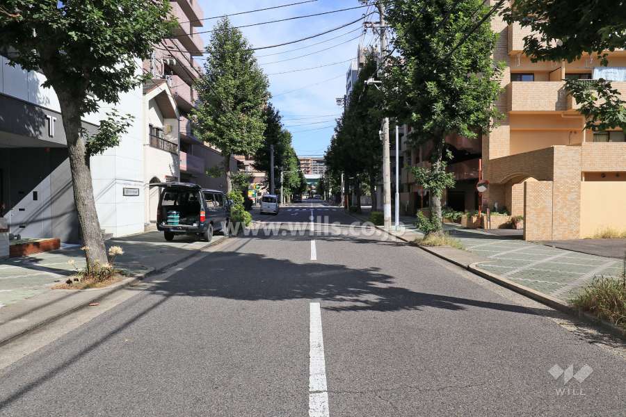 敷地西側の前面道路（南側から）