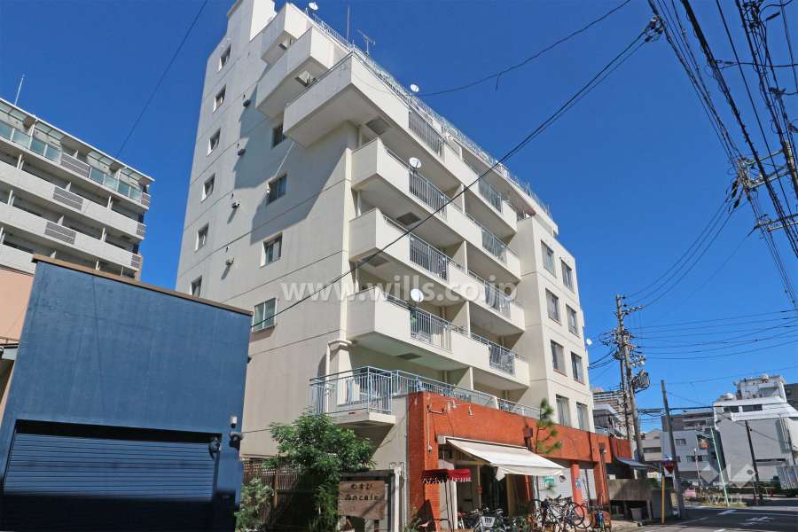 新栄グリーンハイツの外観（南西側から）