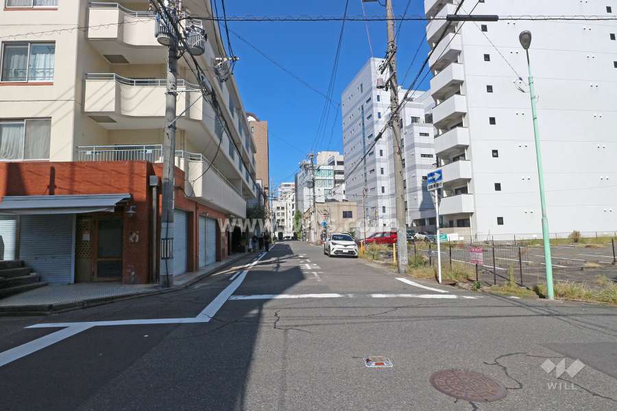 敷地東側の前面道路（南側から）