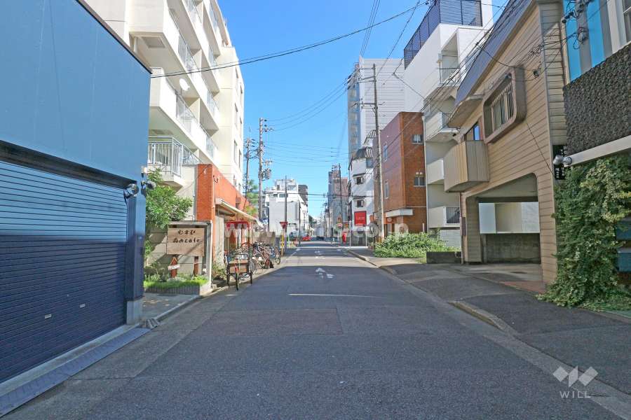 敷地南側の前面道路（西側から）