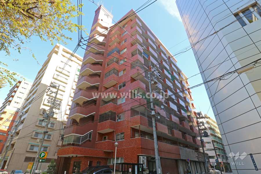 シャンボール白川公園の外観（南西側から）