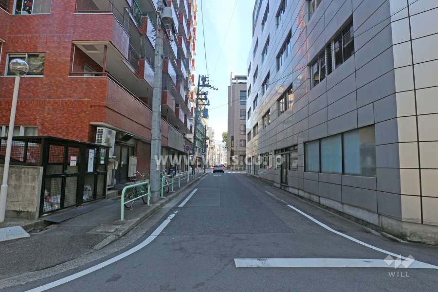 敷地南側の前面道路（西側から）