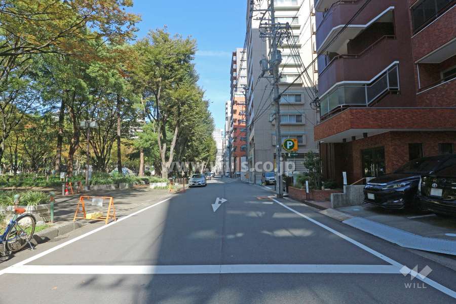 敷地西側の前面道路（南側から）